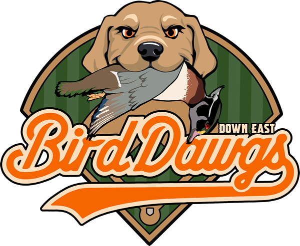Bird Dogs